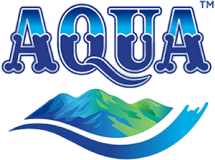 How we help AQUA strengthen the knowledge on their water superiority among their frontliners by developing their Learning Management System